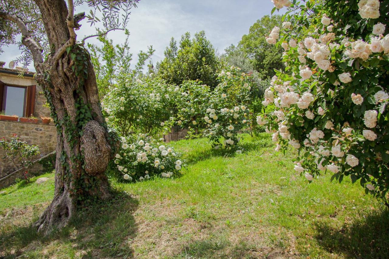 Hostal Mas Rovira Banyoles Exterior foto
