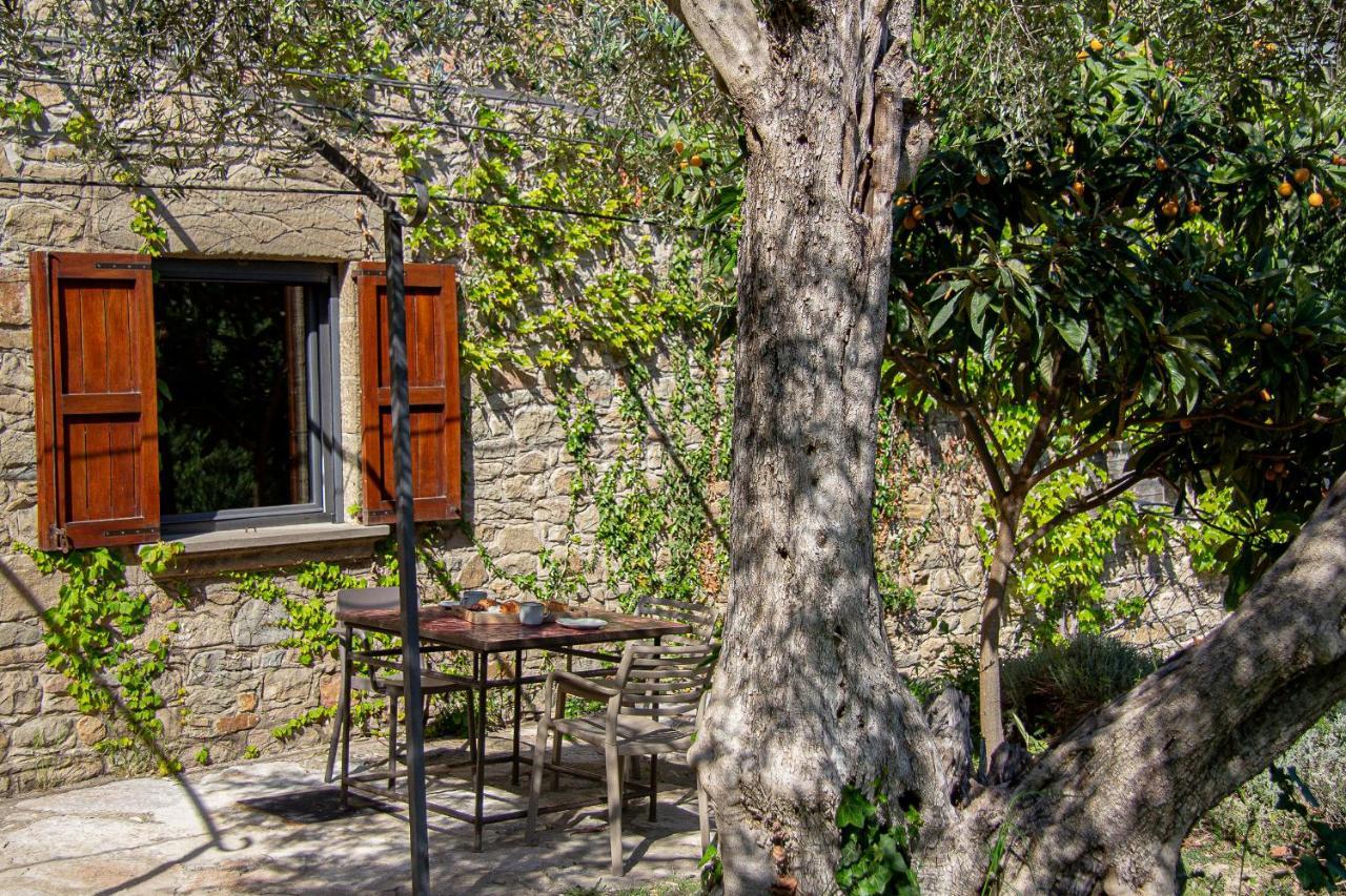 Hostal Mas Rovira Banyoles Exterior foto