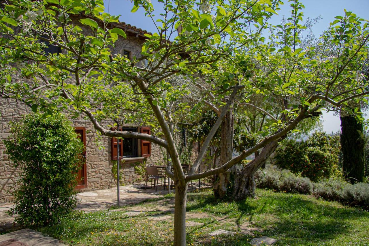 Hostal Mas Rovira Banyoles Exterior foto